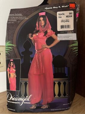 Dreamgirl Pink Genie Costume Bandeau Top with Sheer Pants
